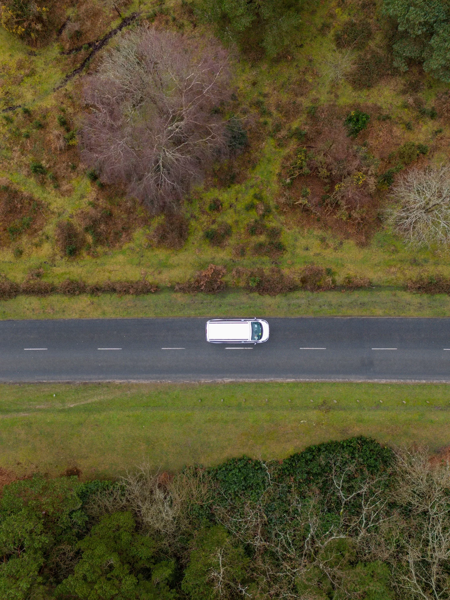 Roadtrips